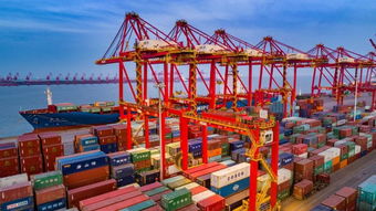 日照大商中心 打造港口客户增值服务平台 大宗商品贸易新生态是怎样 炼 成的
