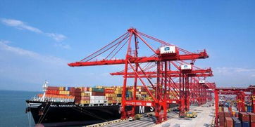 中国跃升为一带一路沿线25国最大贸易伙伴，贸易合作成果显著