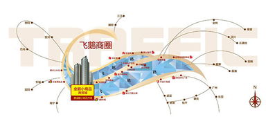 专访国联集团总经理助理谢敬安 成功不过天时地利人和